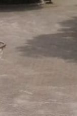 cTj2efUekwJOwlJ4GtOh7ejnpXs