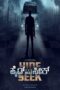 Hide And Seek (2024)