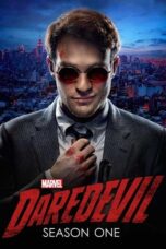 Marvel's Daredevil Season 1 (2015)